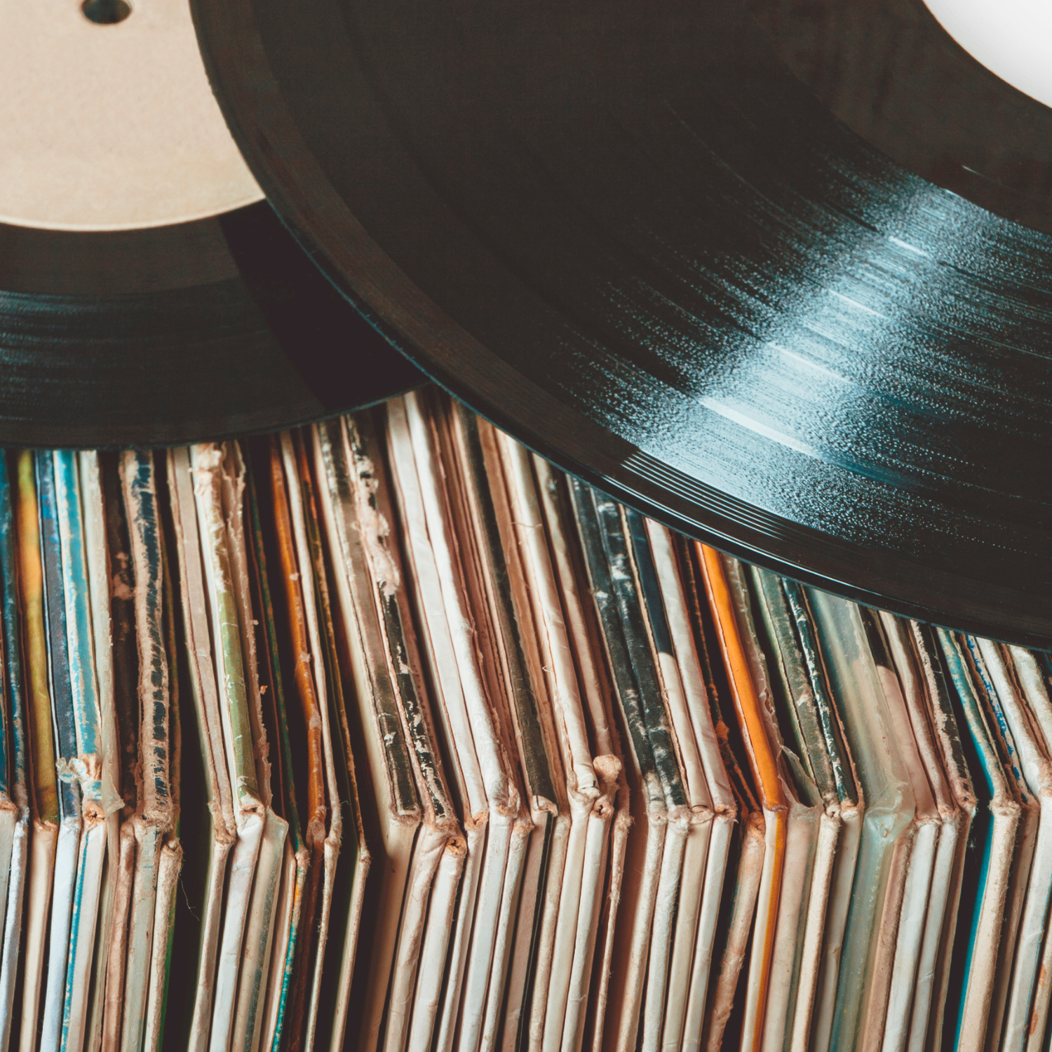 Vinyl Record Collection