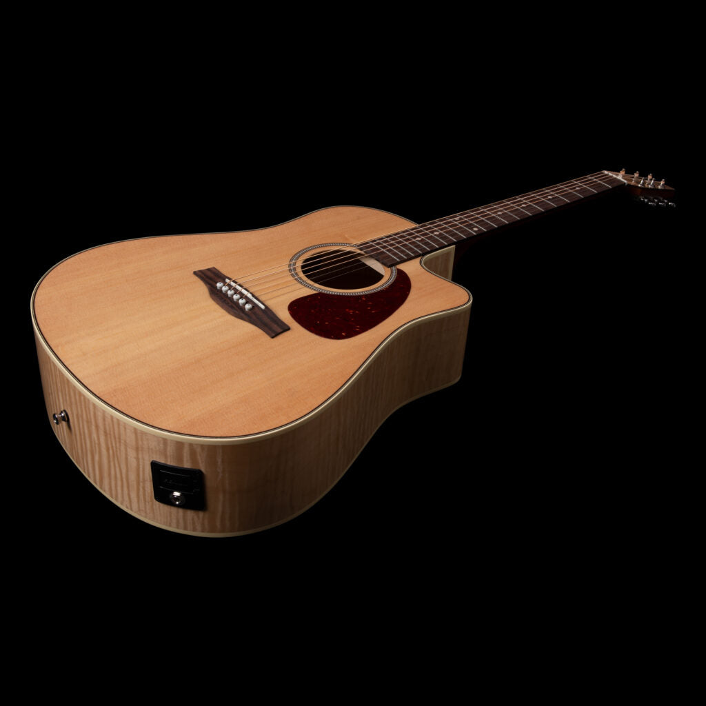 Seagull - Performer CW HG Presys II with Gig Bag