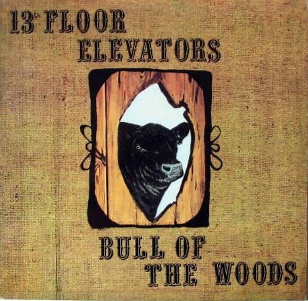 13th Floor Elevators Bull of the Woods - La Boîte Musicale - Vinyl Records - Disquaire -