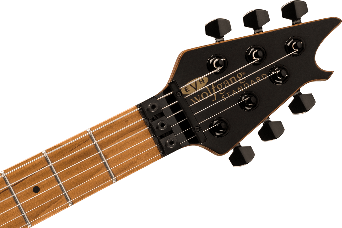 EVH Wolfgang® WG Standard, Baked Maple Fingerboard, Pelham Blue