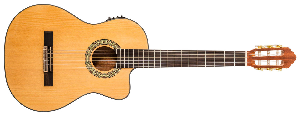 Peavey Delta Woods® CNS-CE™ Classical Nylon String Guitar with Electronics