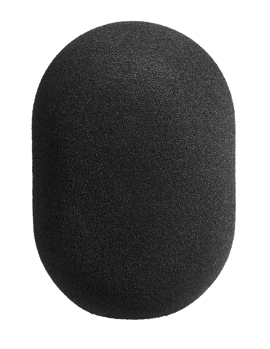 Neumann WS 89