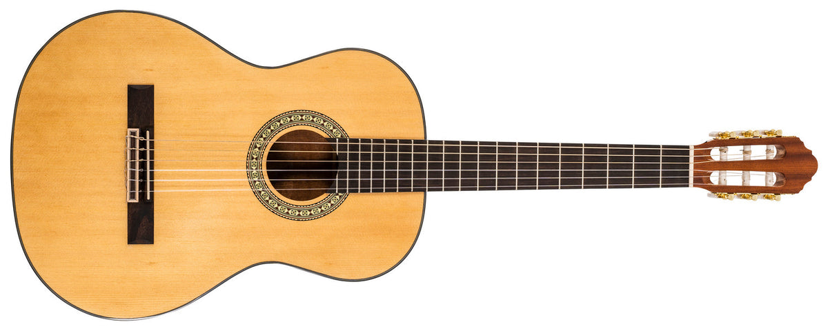 Peavey Delta Woods® CNS-1™ Classical Nylon String Guitar