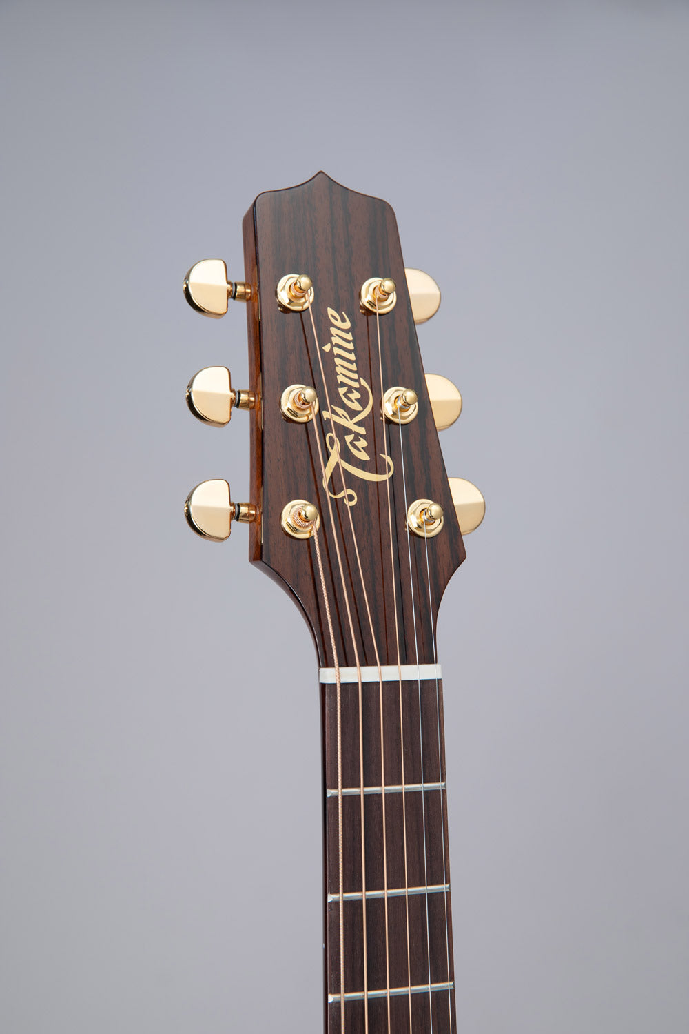 Takamine - Pro Series Acoustic Electric Guitar P5DC