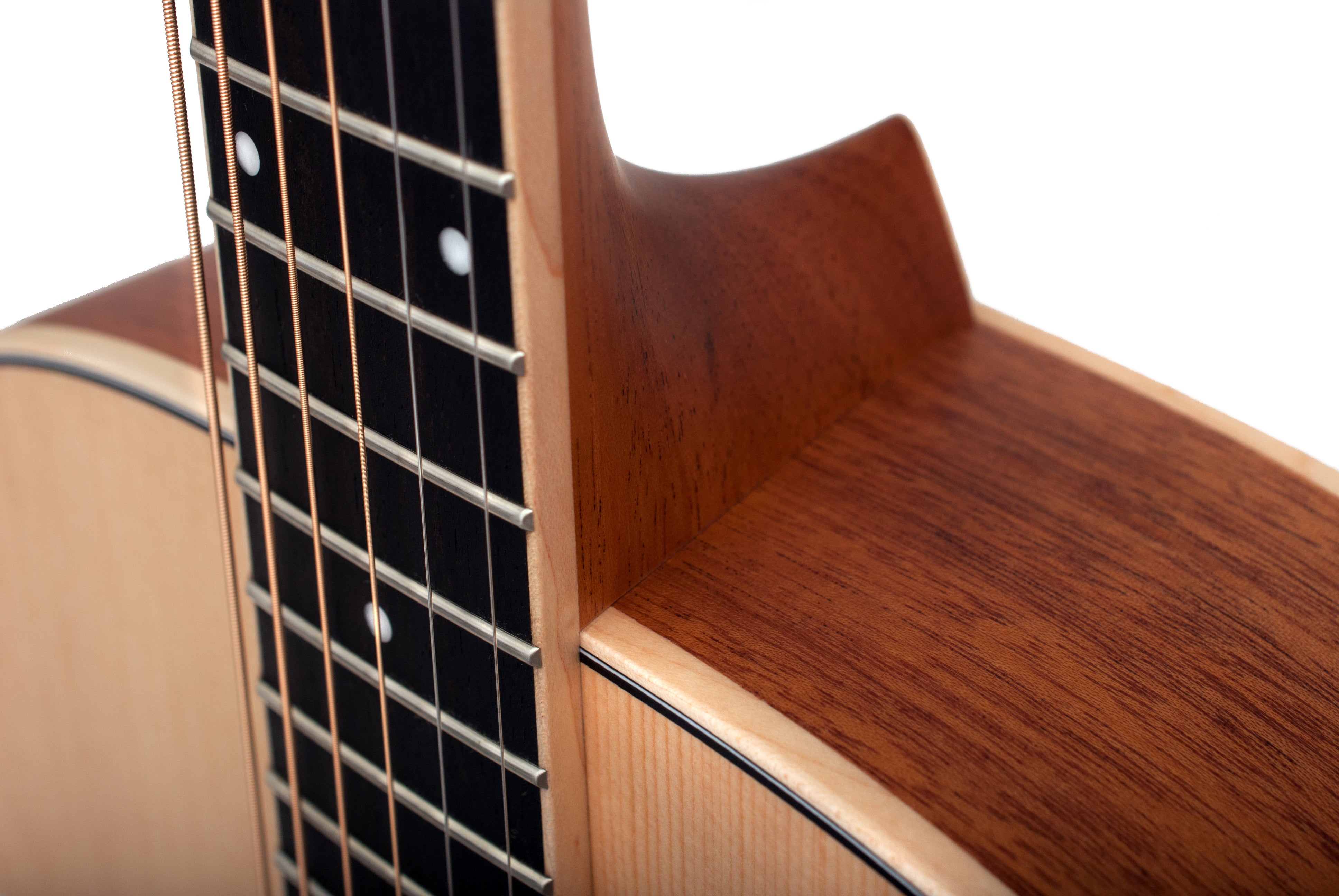 Larrivée D-03 Mahogany Series