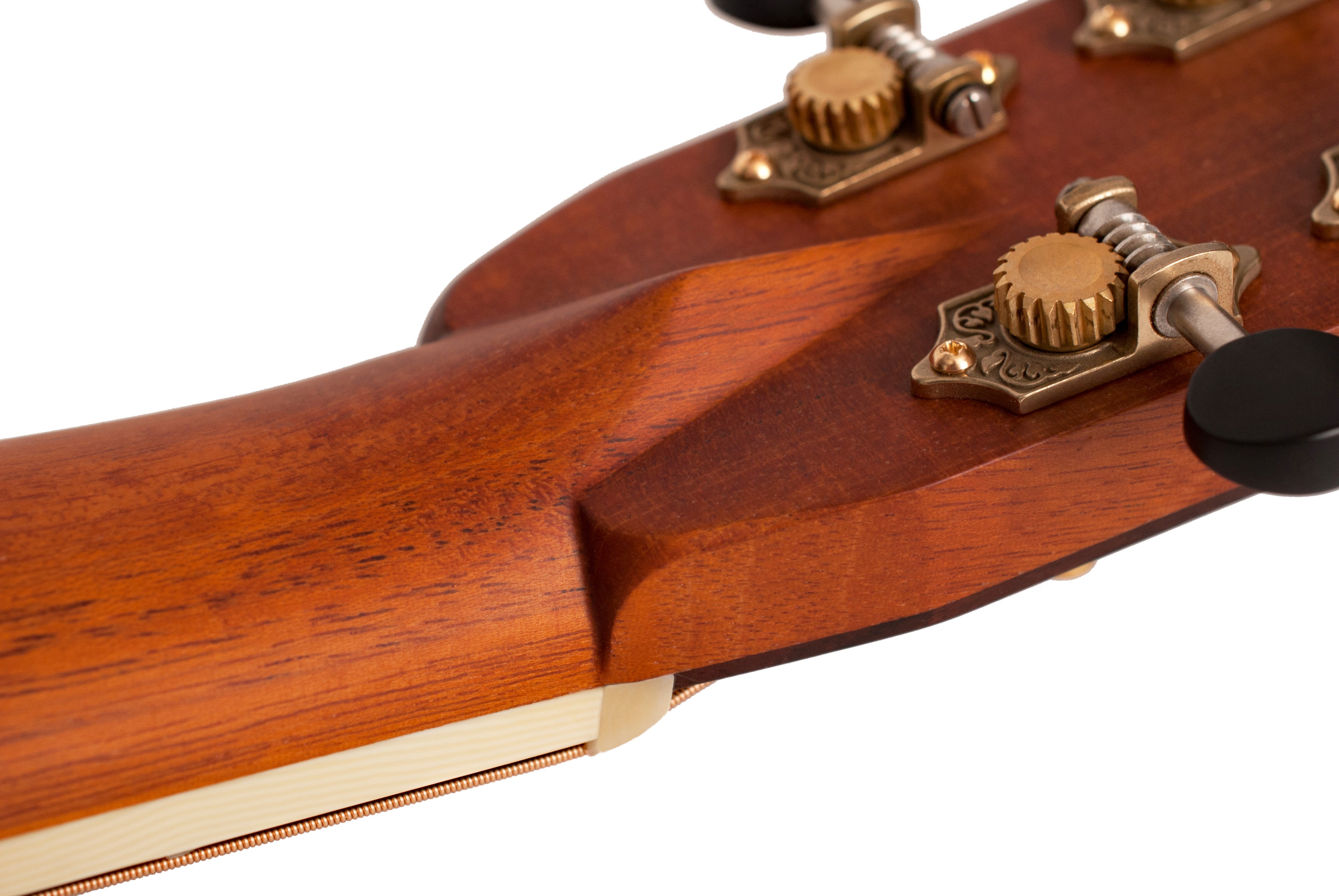 Larrivée OMV-60 60 Series