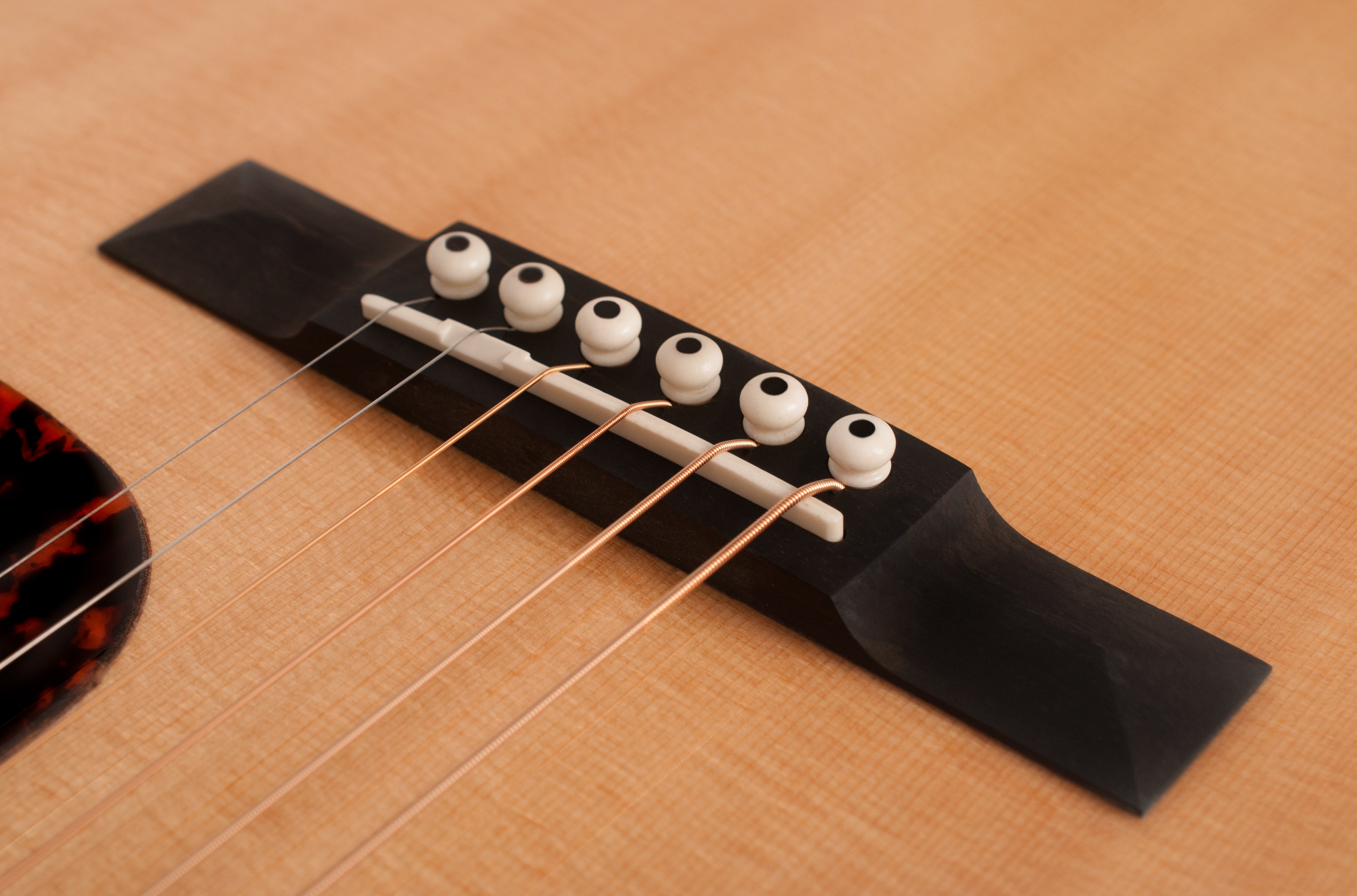 Larrivée SD-50E 50 Series