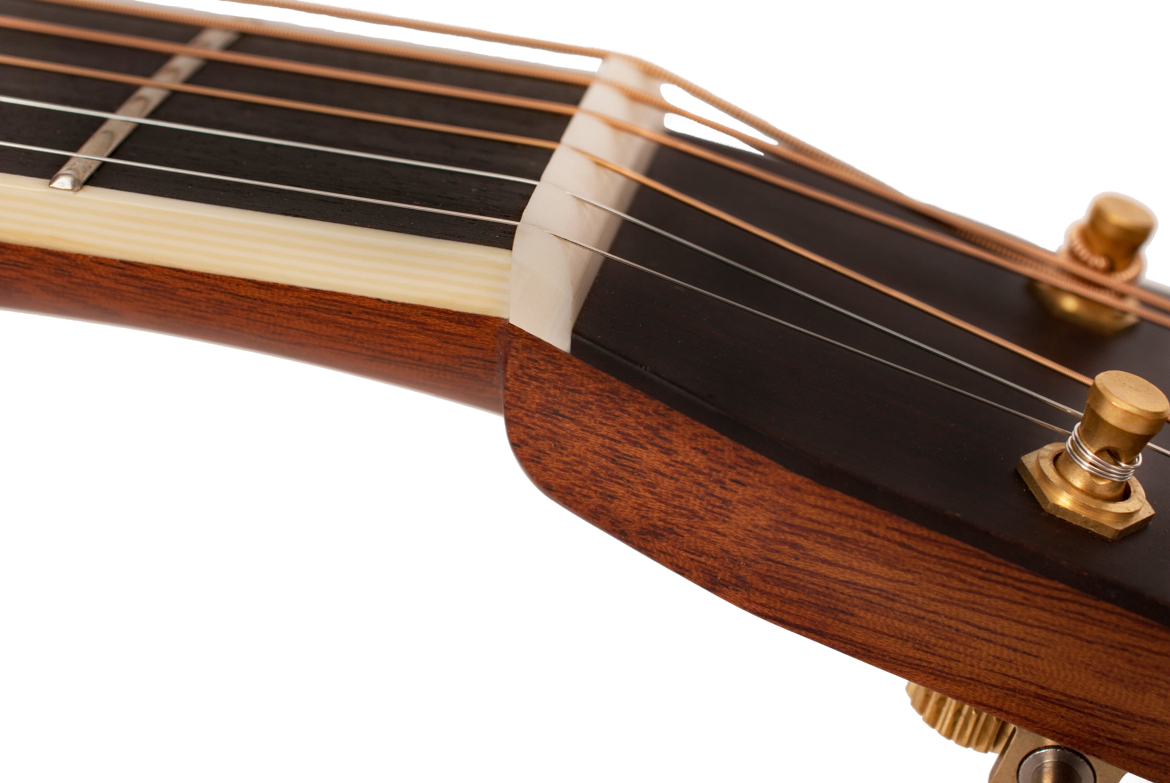 Larrivée OMV-60 60 Series