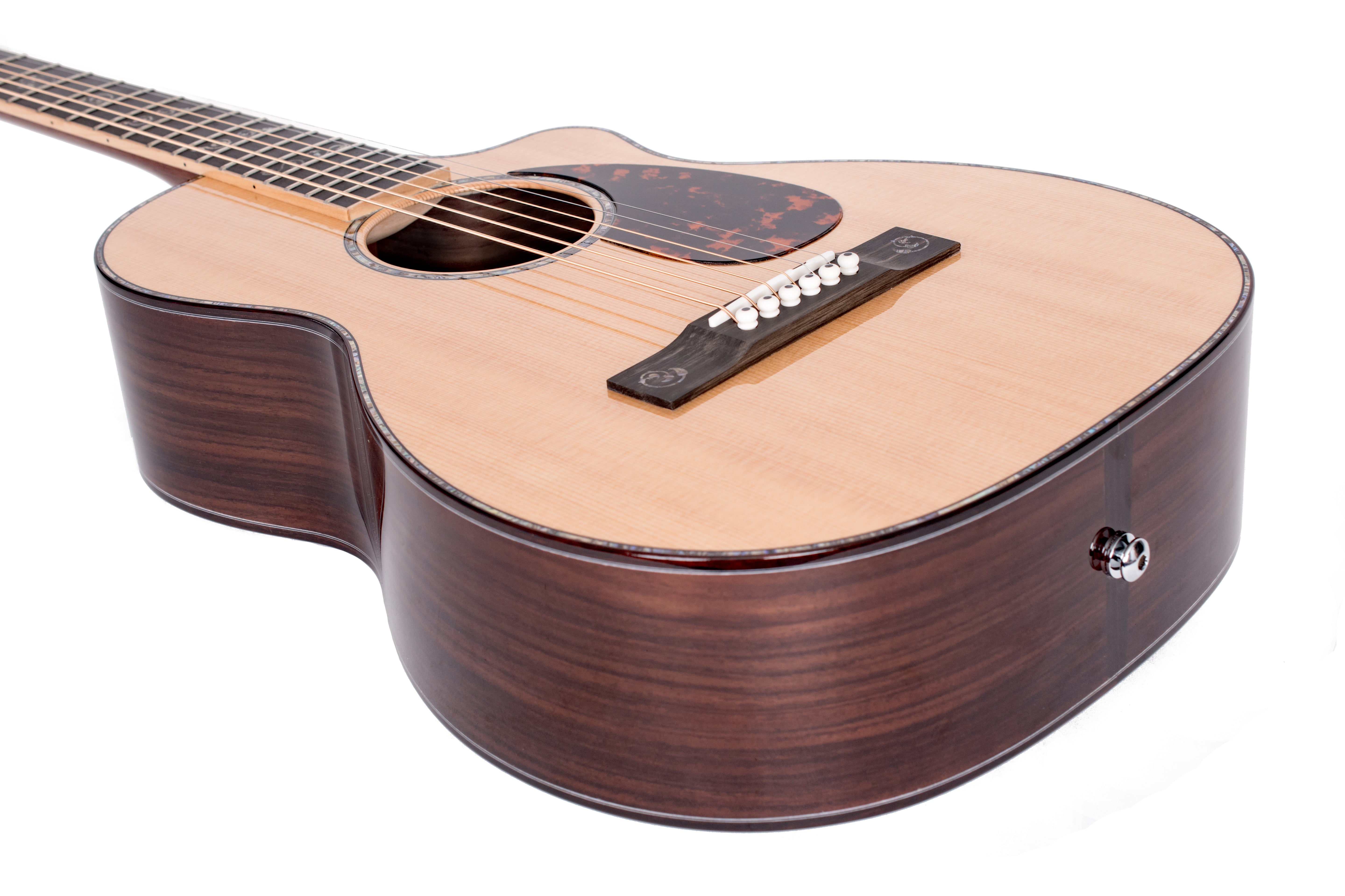 Larrivée PV-10 10 Series