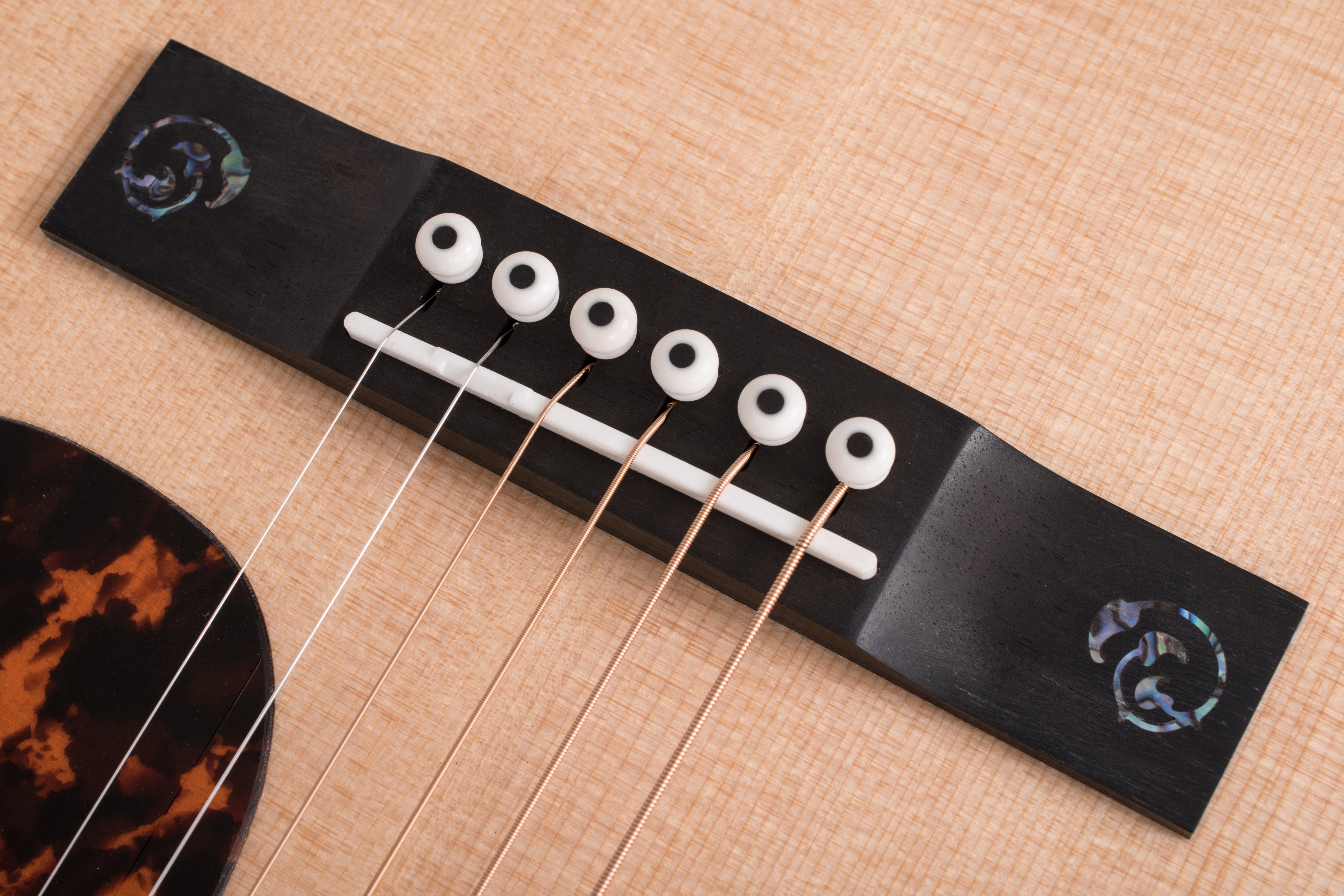 Larrivée PV-10 10 Series