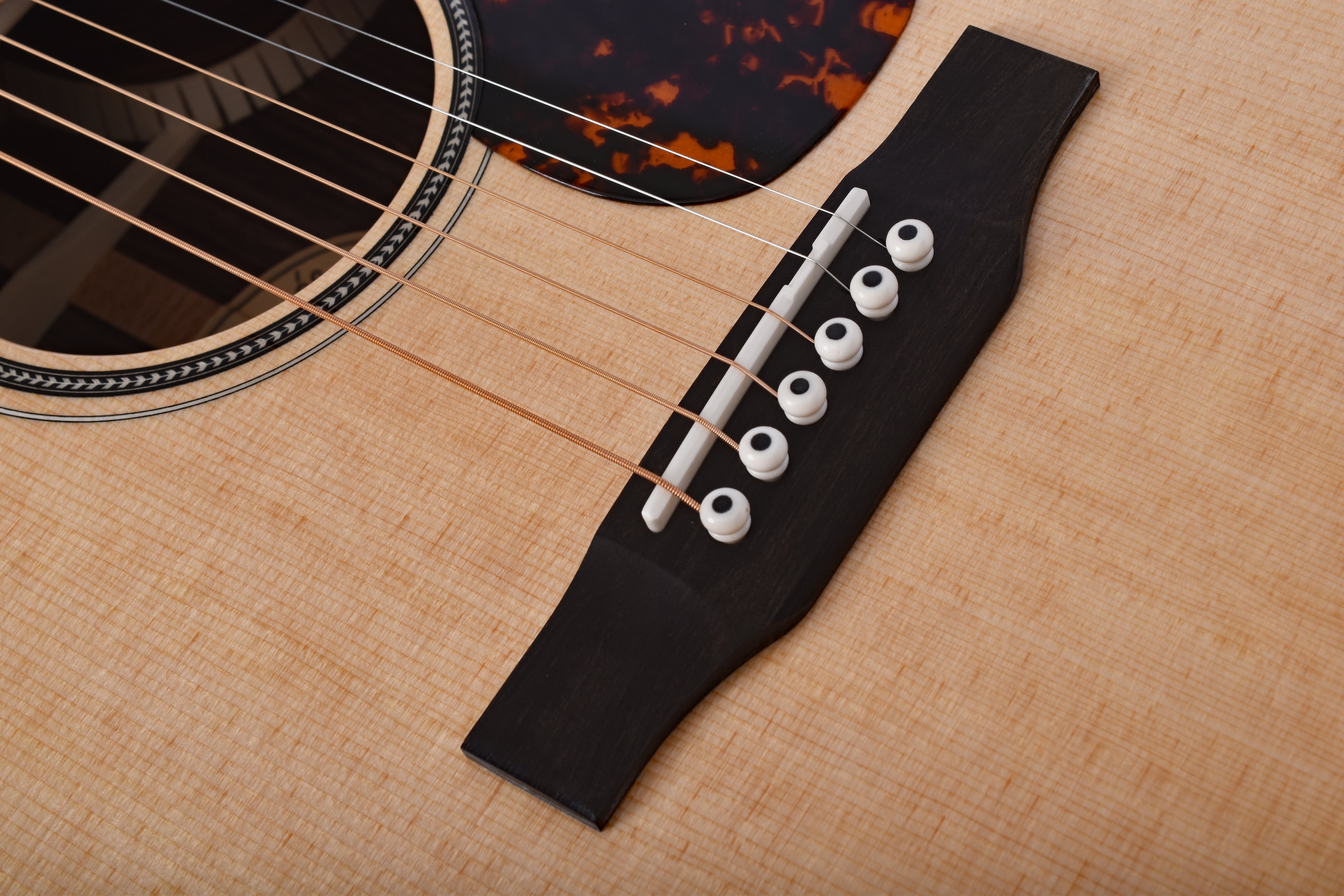 Larrivée OMV-60 60 Series