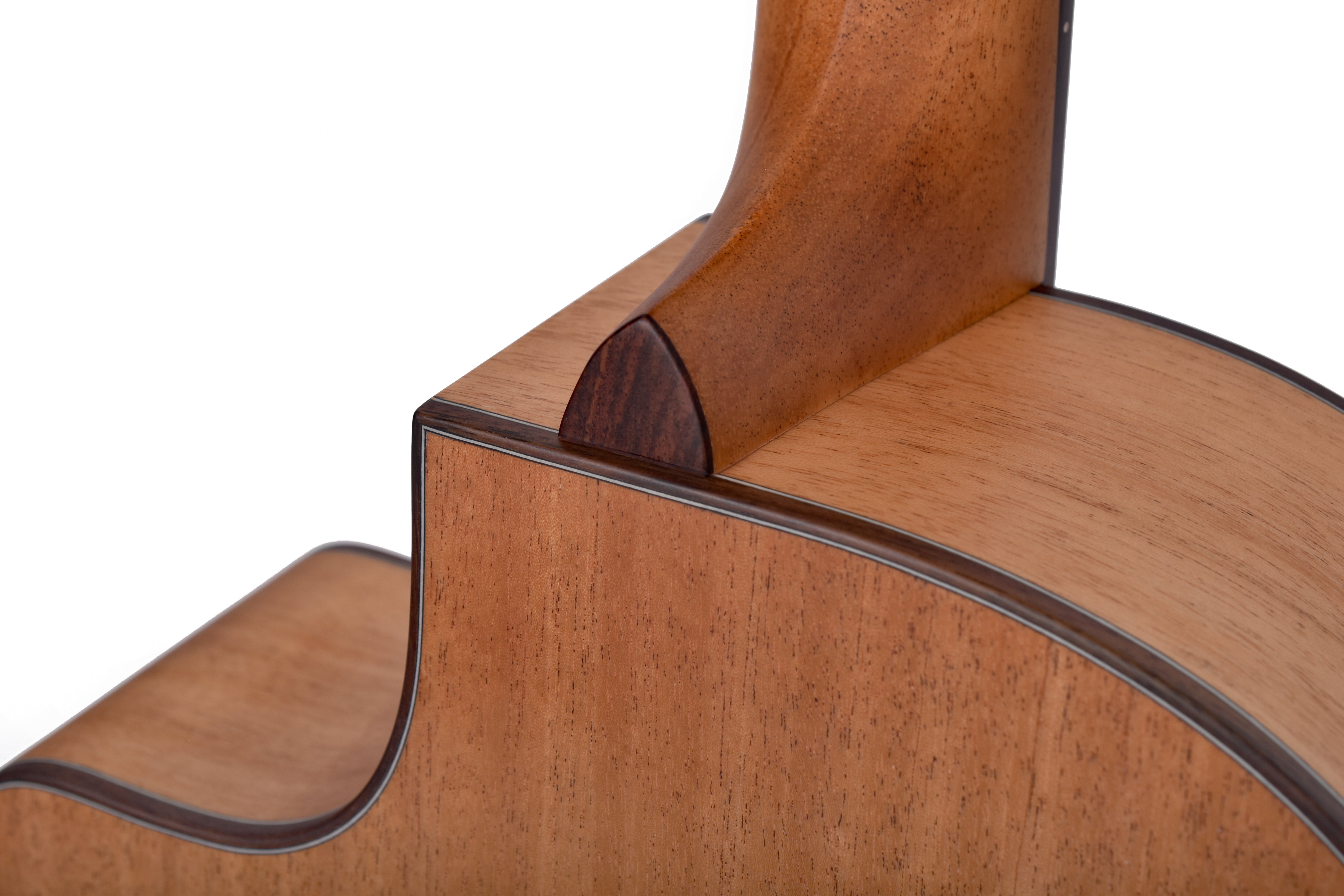 Larrivée LV-24 Series Mahogany