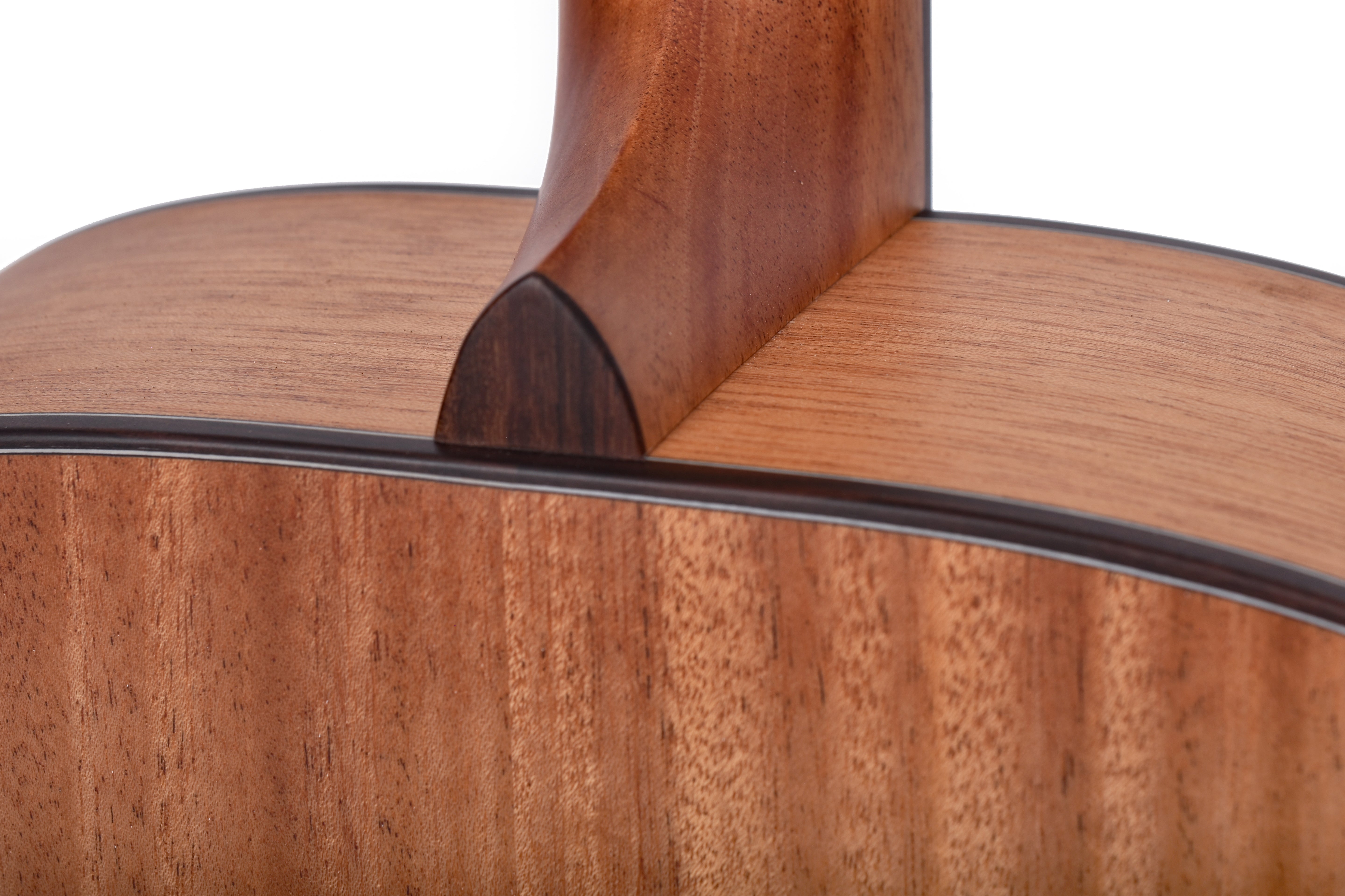 Larrivée D-24 Series Mahogany