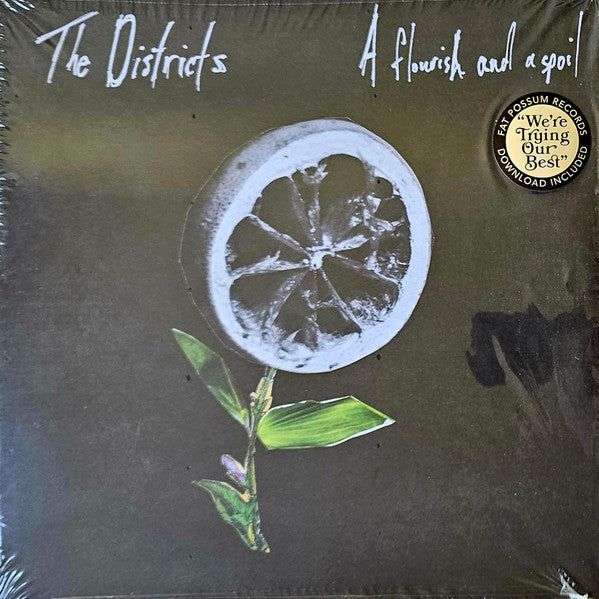 The Districts - A Flourish And A Spoil LP