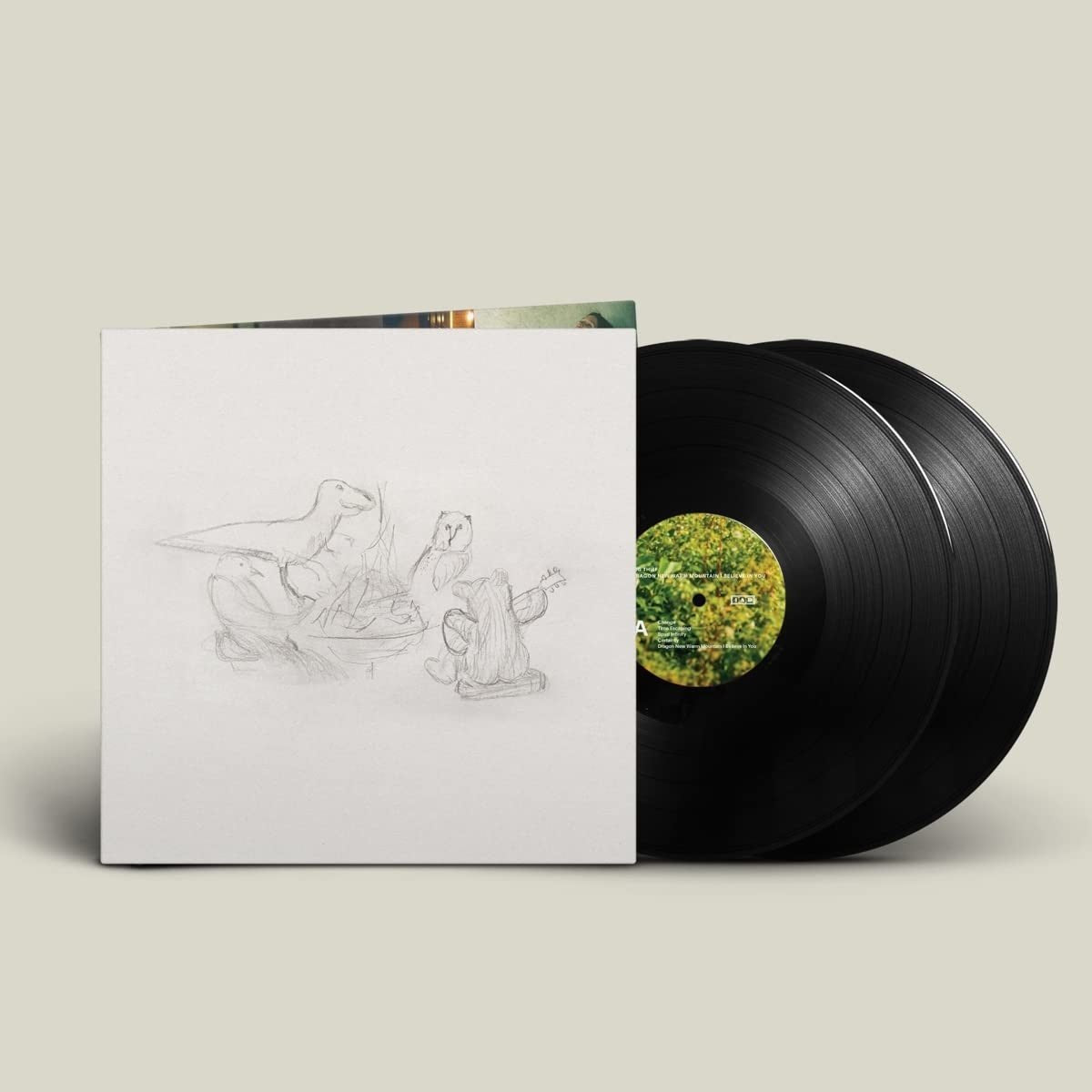 Big Thief - Dragon new warm mountain I believe in you 2LP - La Boîte Musicale - Vinyl Records - Vinyl Records -