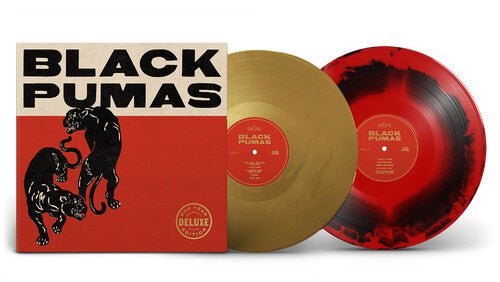 Black Pumas - Black pumas 2LP - La Boîte Musicale - Vinyl Records - Vinyl Records -