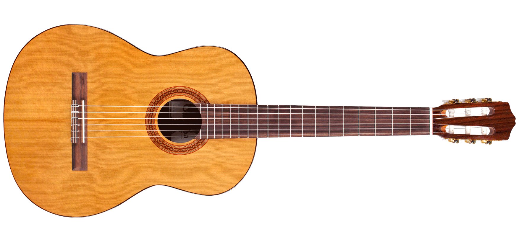 Cordoba - C5 Classical Guitar - La Boîte Musicale - Classical Guitars - Cordoba -