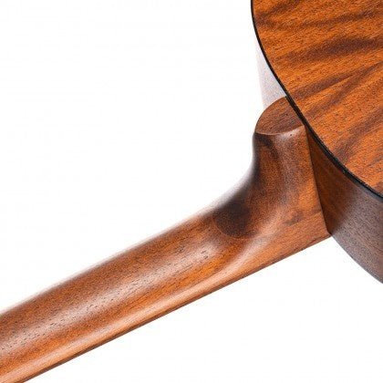 Cort - Classical Guitar AC100 - La Boîte Musicale - Cort -