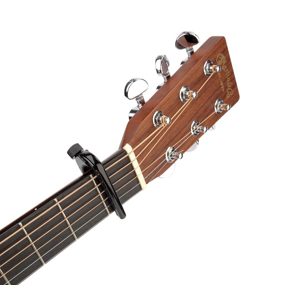 D'addario - Pro Capo - La Boîte Musicale - D'addario -
