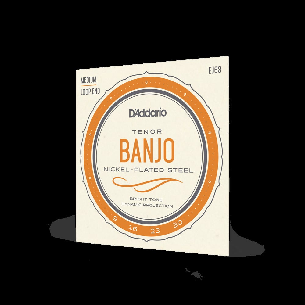 D'Addario - Tenor Banjo Nickel - Plated Steel / Medium Loop End - La Boîte Musicale - La Boîte Musicale -