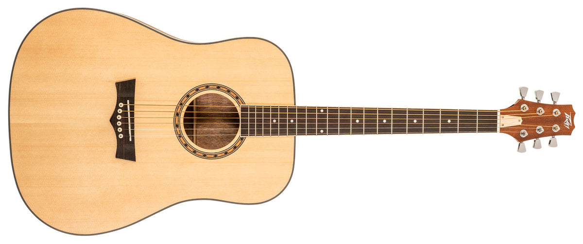 Peavey Delta Woods® DW-1™ Acoustic Guitar with Bag