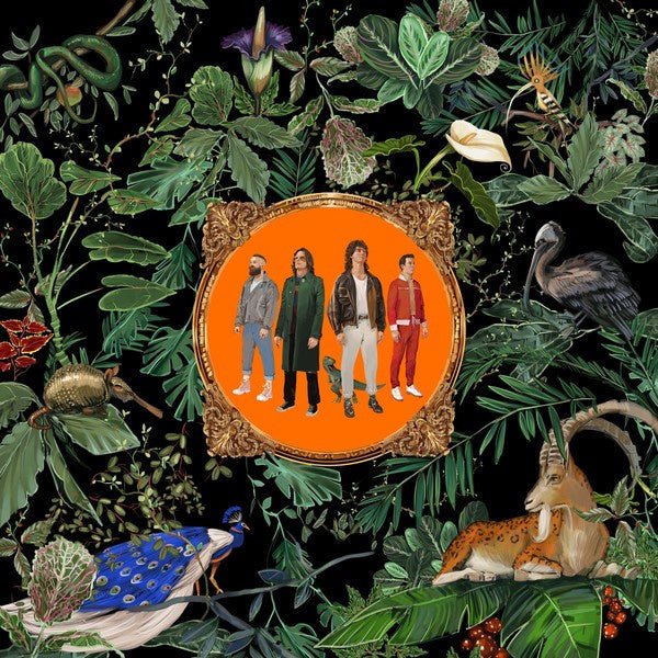 Don Broco - Amazing Things - La Boîte Musicale - Vinyl Records - Vinyl Records -