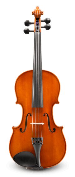 Eastman - Violin 4/4 Outfit V80 - La Boîte Musicale - Eastman -