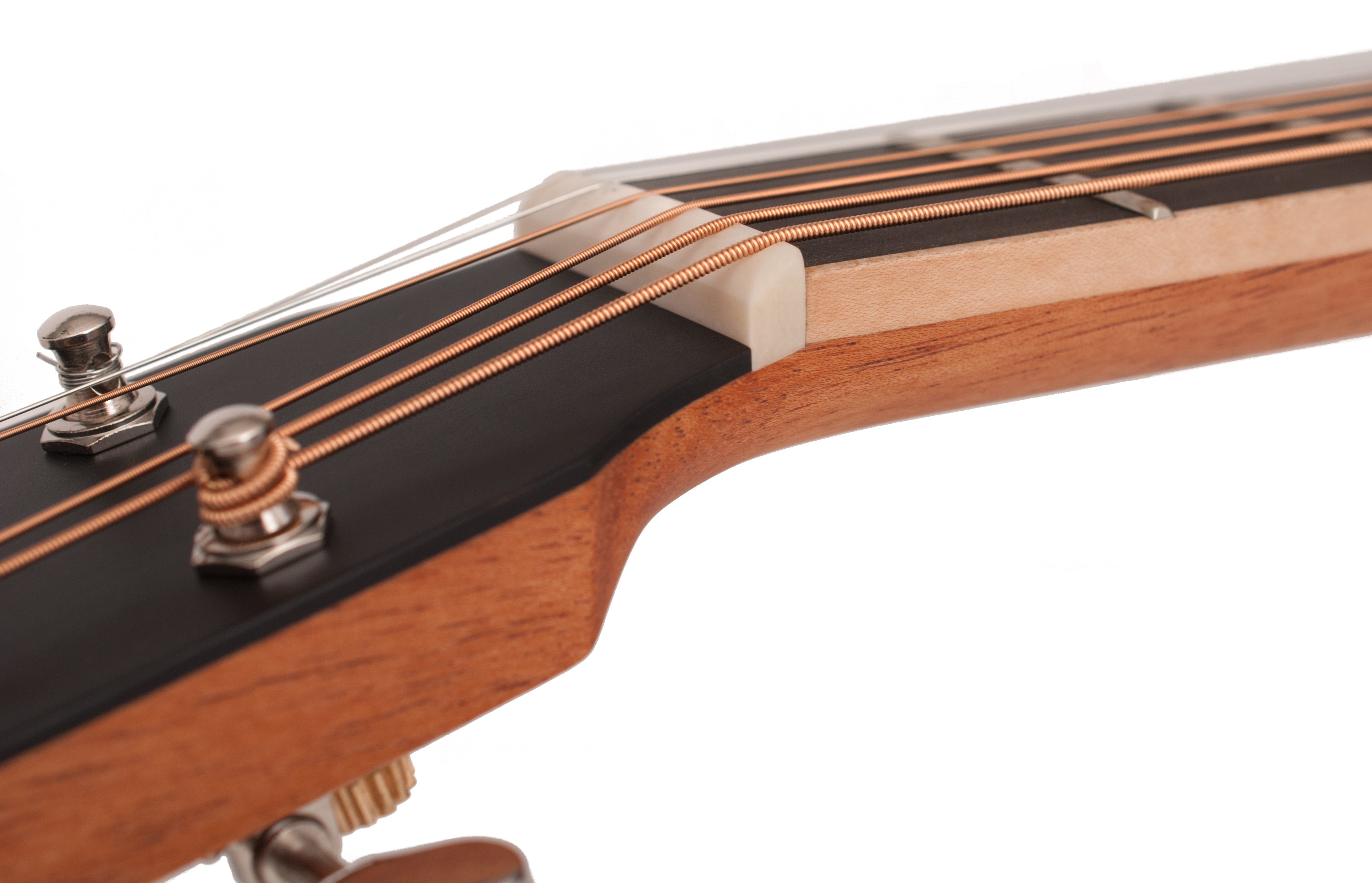 Larrivée OMV-40 Series Mahogany