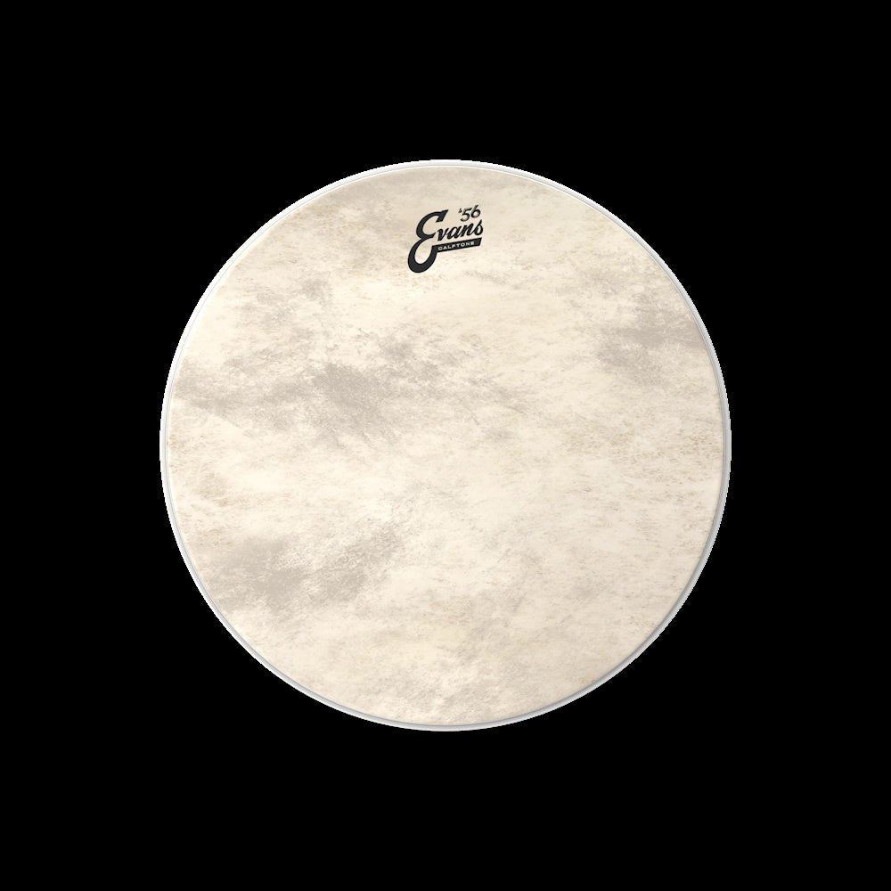 Evans - Calftone Bass Drum Head - 20 Inch - La Boîte Musicale - Drum Heads - Evans -