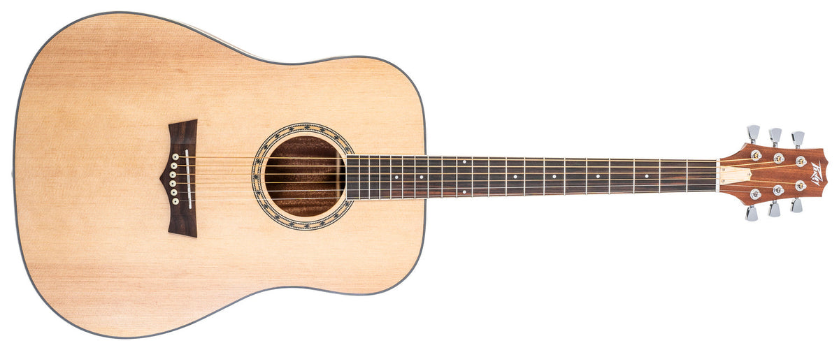 Peavey Delta Woods® DW-2™ Solid Top Dreadnought Acoustic Guitar with Case