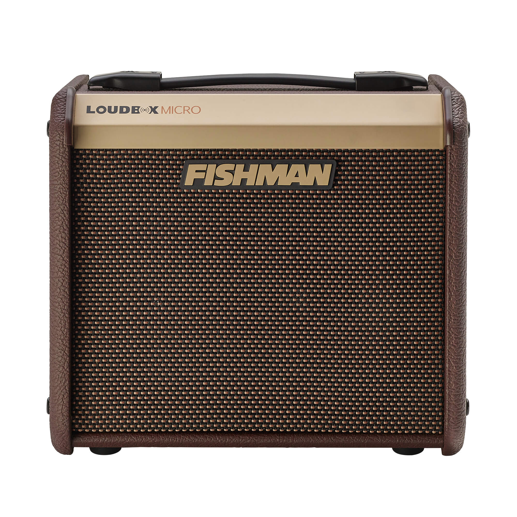 Fishman - Loudbox Micro, Acoustic Instrument Amp