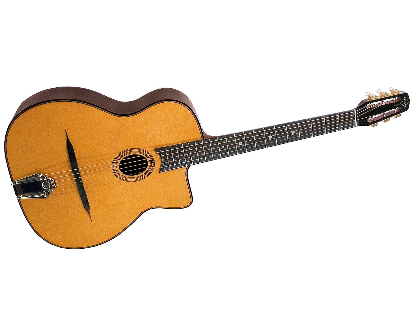 Gitane - DG - 255 Professional Gypsy Jazz Guitar - La Boîte Musicale - Acoustic Guitars - Gitane -