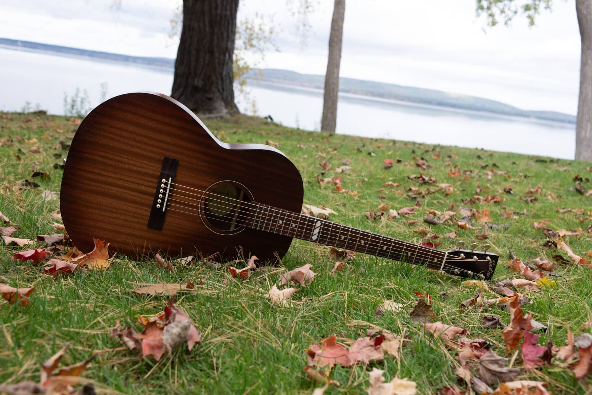 Godin - Mahogany Folk Rustic Burst A/E - La Boîte Musicale - Acoustic Guitars - Godin -