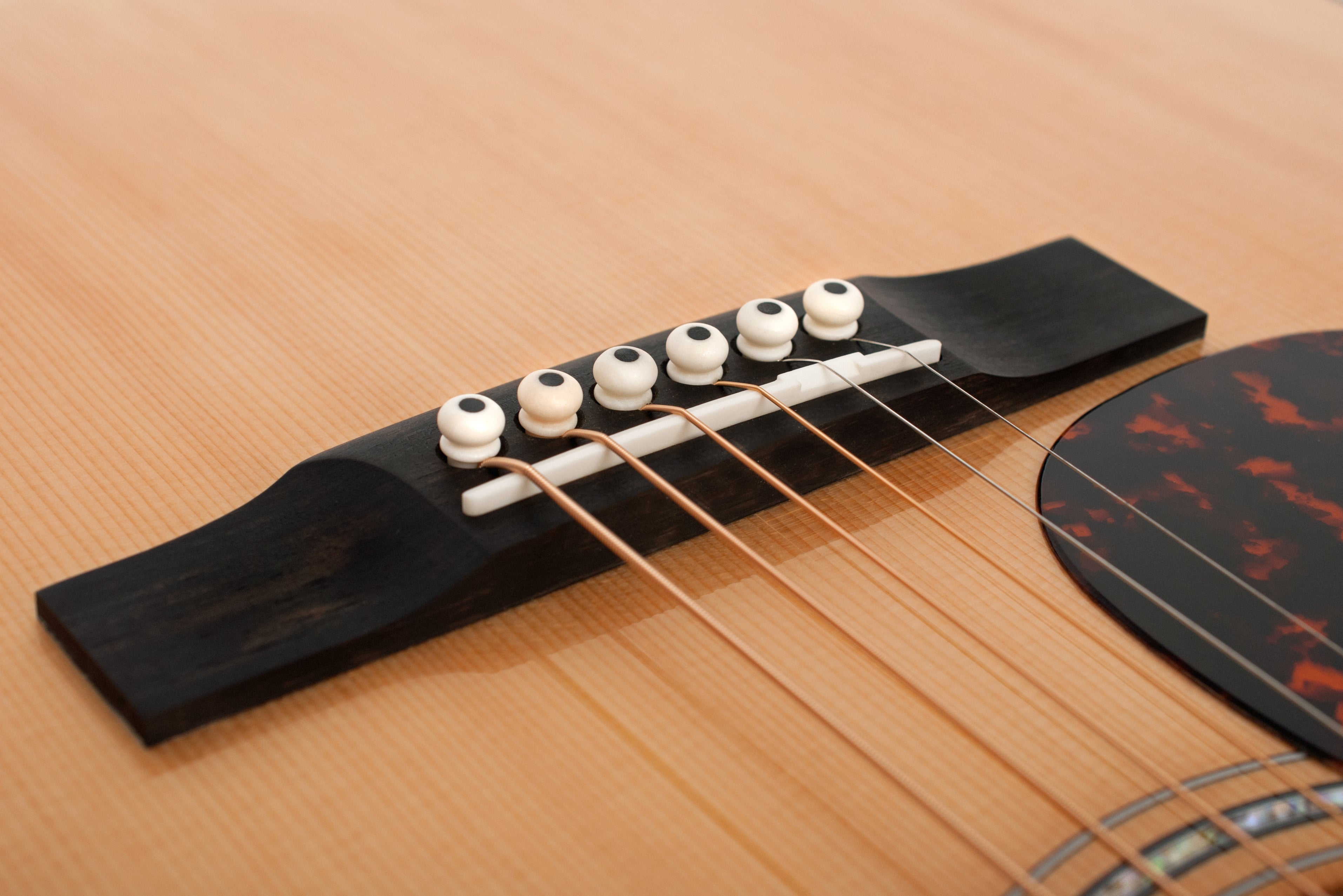 Larrivée L-05 05 Series