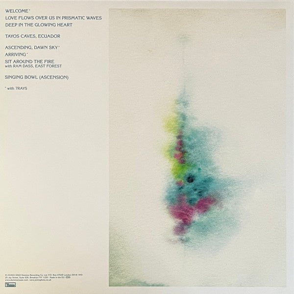 Jon Hopkins - Music For Psychedelic Therapy - 2XLP - La Boîte Musicale - Vinyl Records - Vinyl Records -