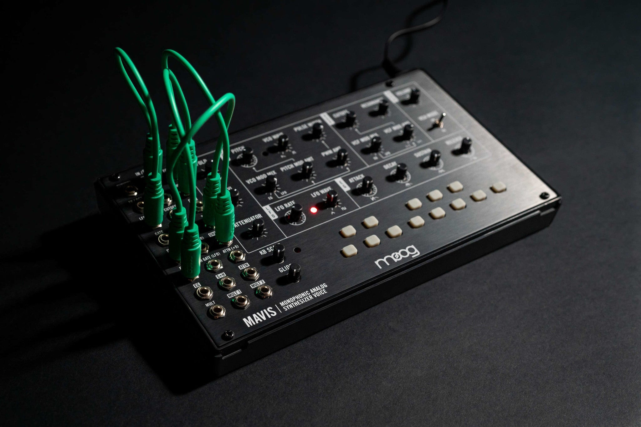 Moog - Mavis Analog Synthesizer - La Boîte Musicale - Synthesizers - Moog -