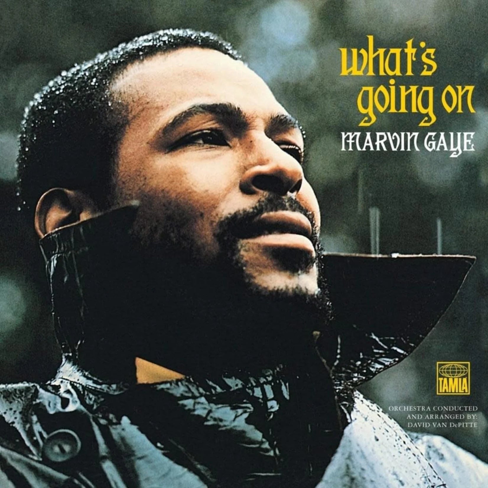 Marvin Gaye - What's Going On LP