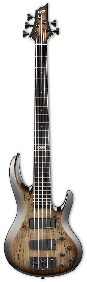 ESP E-II BTL-5, Black Natural Burst