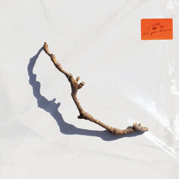 PJ Harvey - I Inside The Old Year Dying - La Boîte Musicale - Vinyl Records - Vinyl Records -