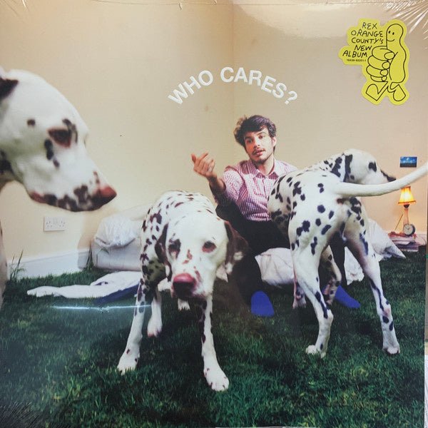 Rex Orange County – Who Cares? - La Boîte Musicale - Vinyl Records - Vinyl Records -