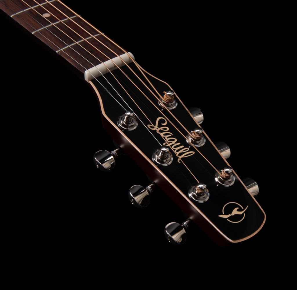 Seagull - Coastline Momentum A/E HG - La Boîte Musicale - Acoustic Guitars - Seagull -