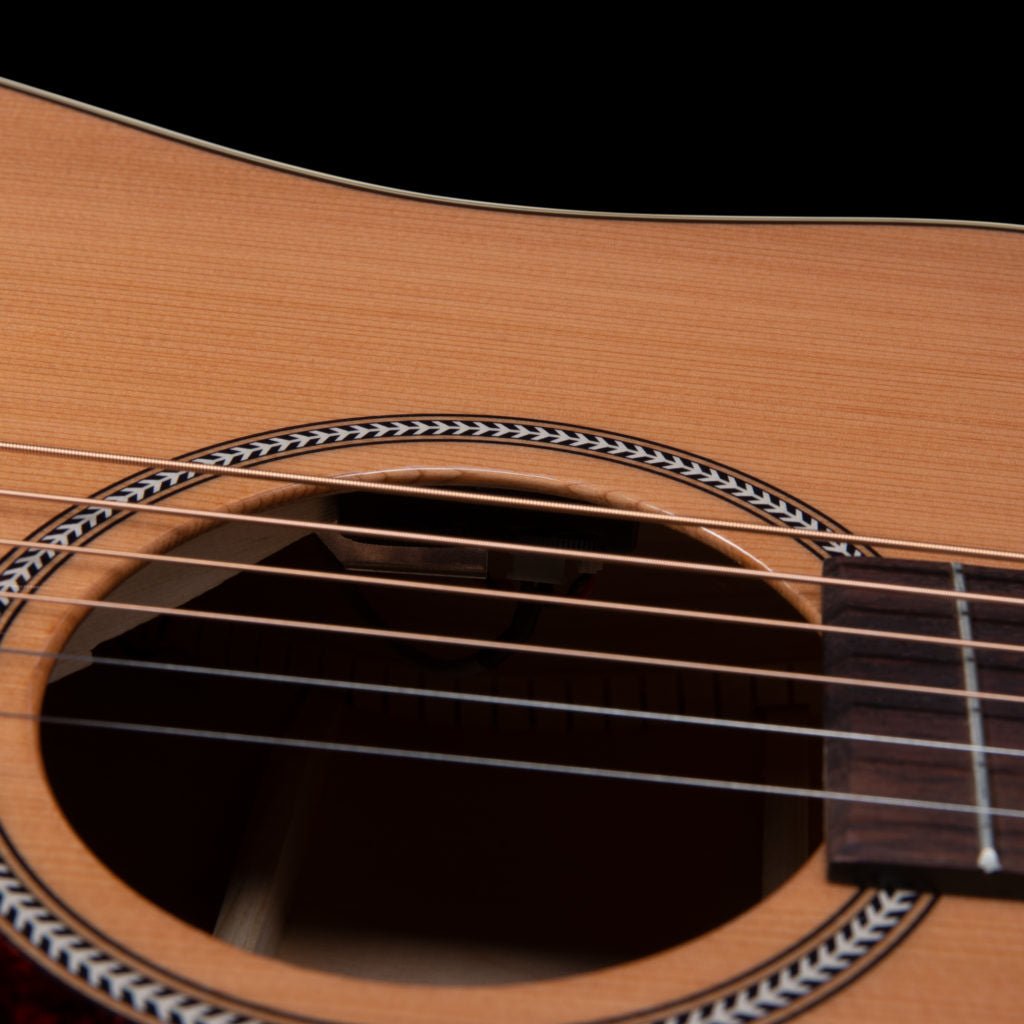 Seagull - Coastline Momentum A/E HG - La Boîte Musicale - Acoustic Guitars - Seagull -
