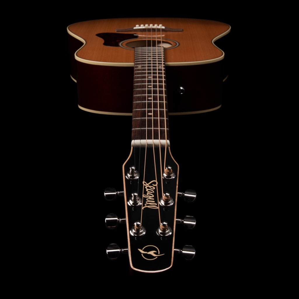 Seagull - Coastline Momentum A/E HG - La Boîte Musicale - Acoustic Guitars - Seagull -