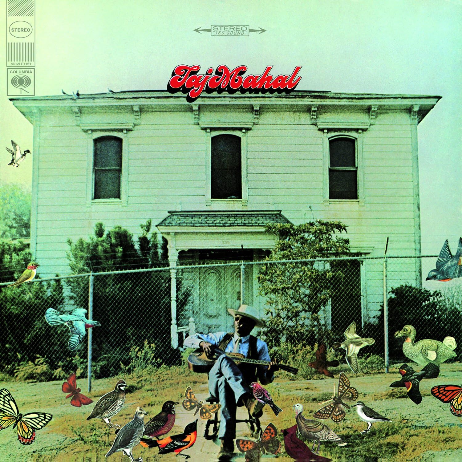 Taj Mahal - Taj Mahal LP