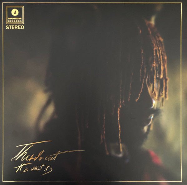 Thundercat - It Is What It Is (Deluxe Gatefold LP Clear Vinyl) - La Boîte Musicale - Vinyl Records - Vinyl Records -