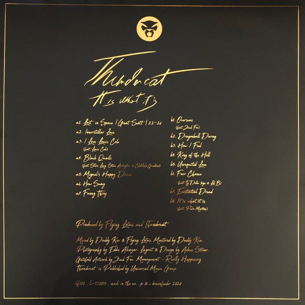 Thundercat - It Is What It Is (Deluxe Gatefold LP Clear Vinyl) - La Boîte Musicale - Vinyl Records - Vinyl Records -