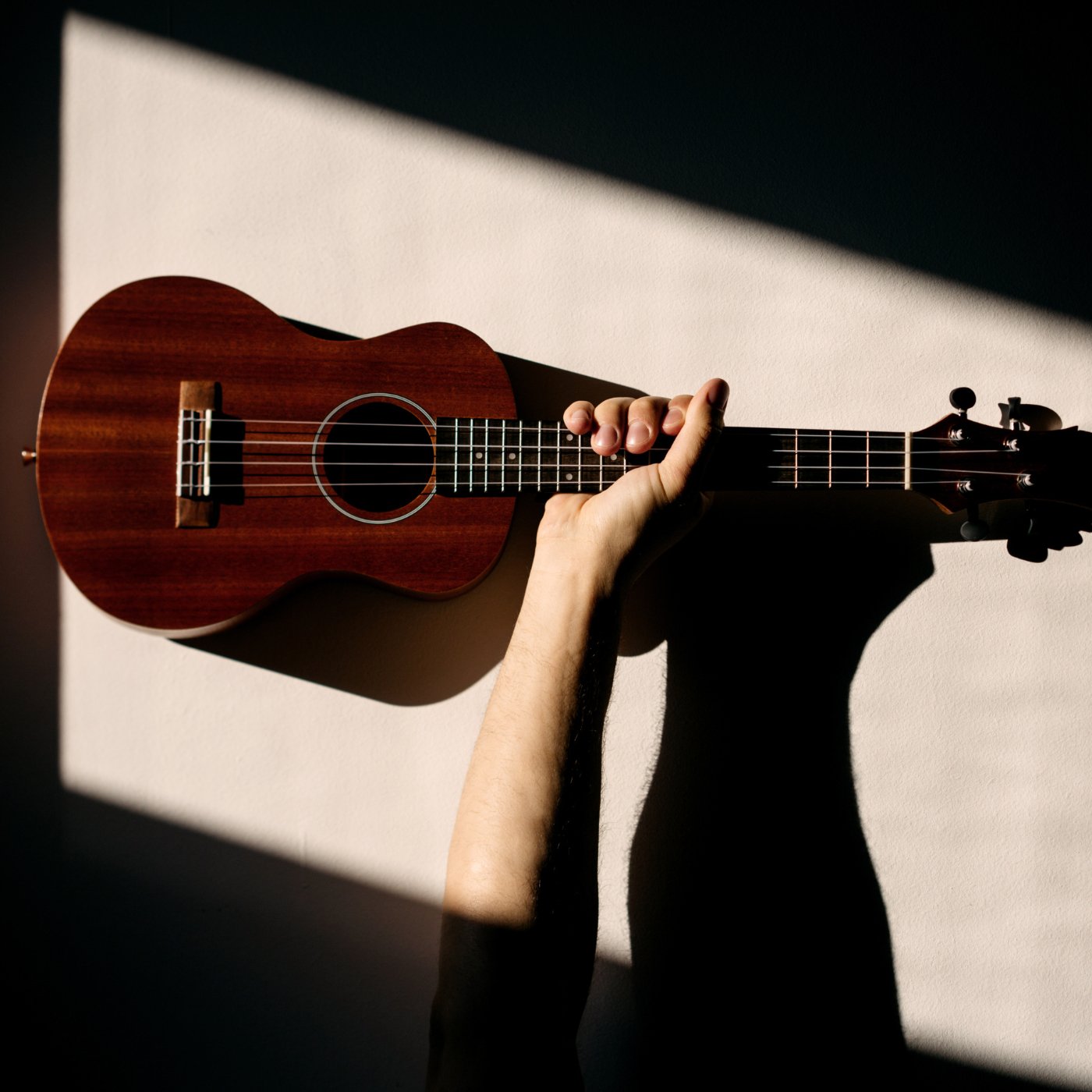 Ukulele lesson - La Boîte Musicale - Cours de Musique - La Boîte Musicale -