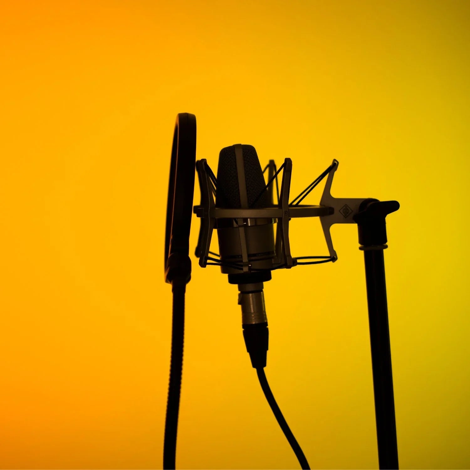 Prod Audio Accessories, Pop Filter for microphones 