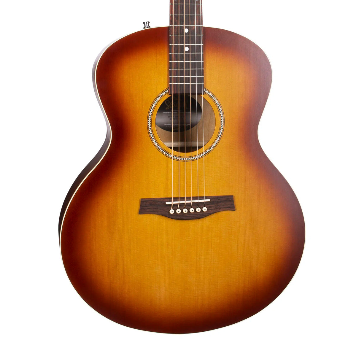 Seagull Entourage MJ Rustic Burst