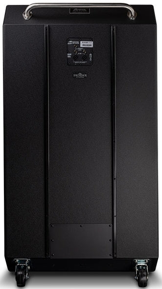 Ampeg HSVT810E Heritage Series 800W Bass Cabinet Amplifier - 8x10